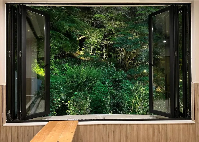 Denbasta Forest 釜山