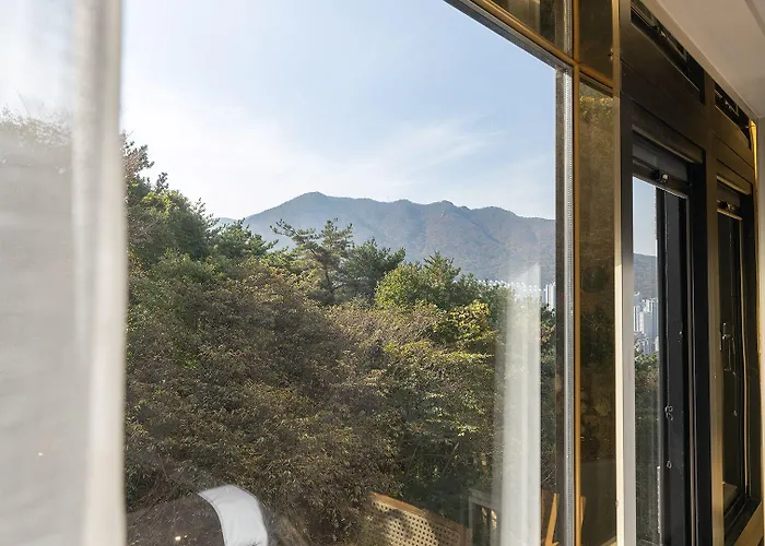 Denbasta Forest 釜山
